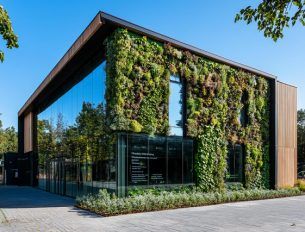 Arquitetura Sustentável: O Que É e Estratégias Para Seu Projeto