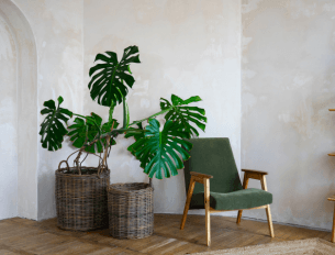 Elementos Da Natureza — Dicas Para Incluí-los Na Sua Decoração