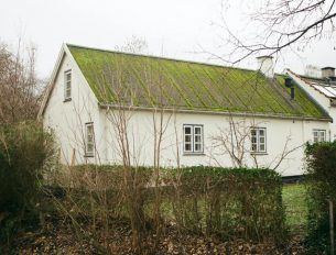 telhado verde