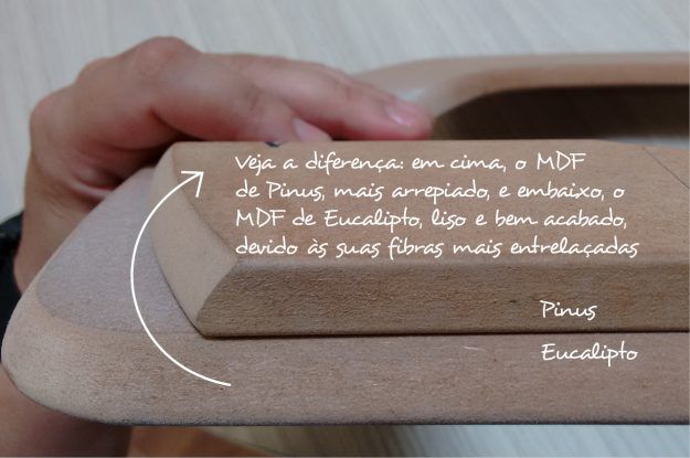 Veja a diferença entre Pinus e Eucalipto.