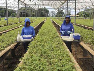 Negocio E Sustentabilidade 976X468